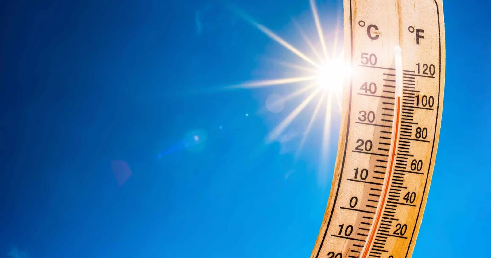 Canicule en Europe : le changement climatique pointé du doigt